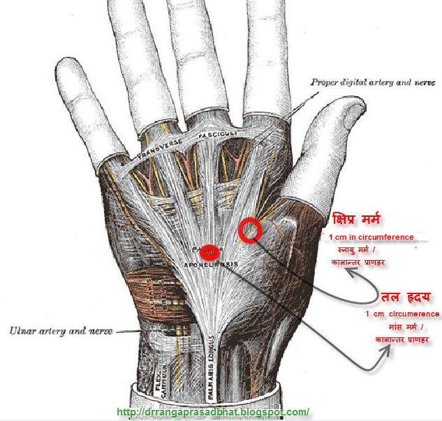 philologic getobjectpl philologic getobjectpl